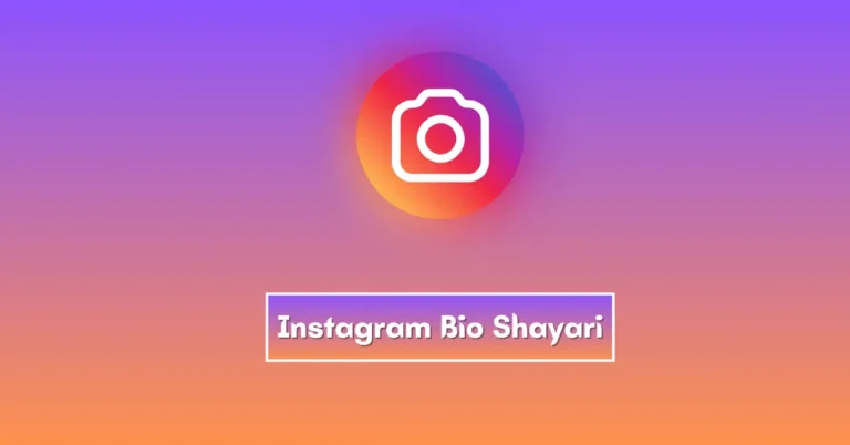 Instagram Bio Shayari